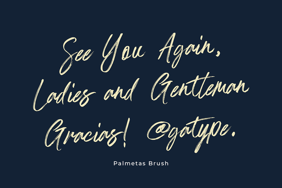 Palmetas, a Handwritten Font by Gatype (Photo 10 of 10)