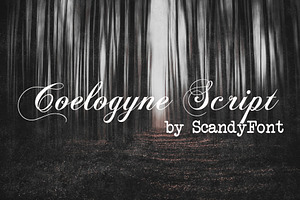 Coelogyne Script - Calligraphy Font