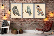 Owls in the forest .Woodland., an Animal Illustration by AkvarelRiver (Thumbnail 7 of 9)