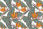 Tropical palm leaves patterns, a Pattern Graphic by Julia Bilenko (Thumbnail 7 of 7)