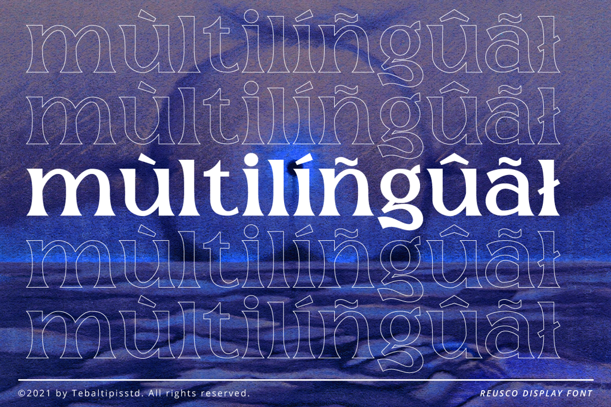 Reusco - Display Typeface, a Serif Font by tebaltipislab (Photo 10 of 15)
