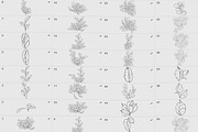 Procreate flower stamp, a Brush Add-On by AnnaPolitmerskaja (Thumbnail 2 of 4)