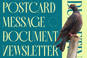 Balliome Modern Serif Typeface, a Serif Font by timelesstype.co (Thumbnail 12 of 20)