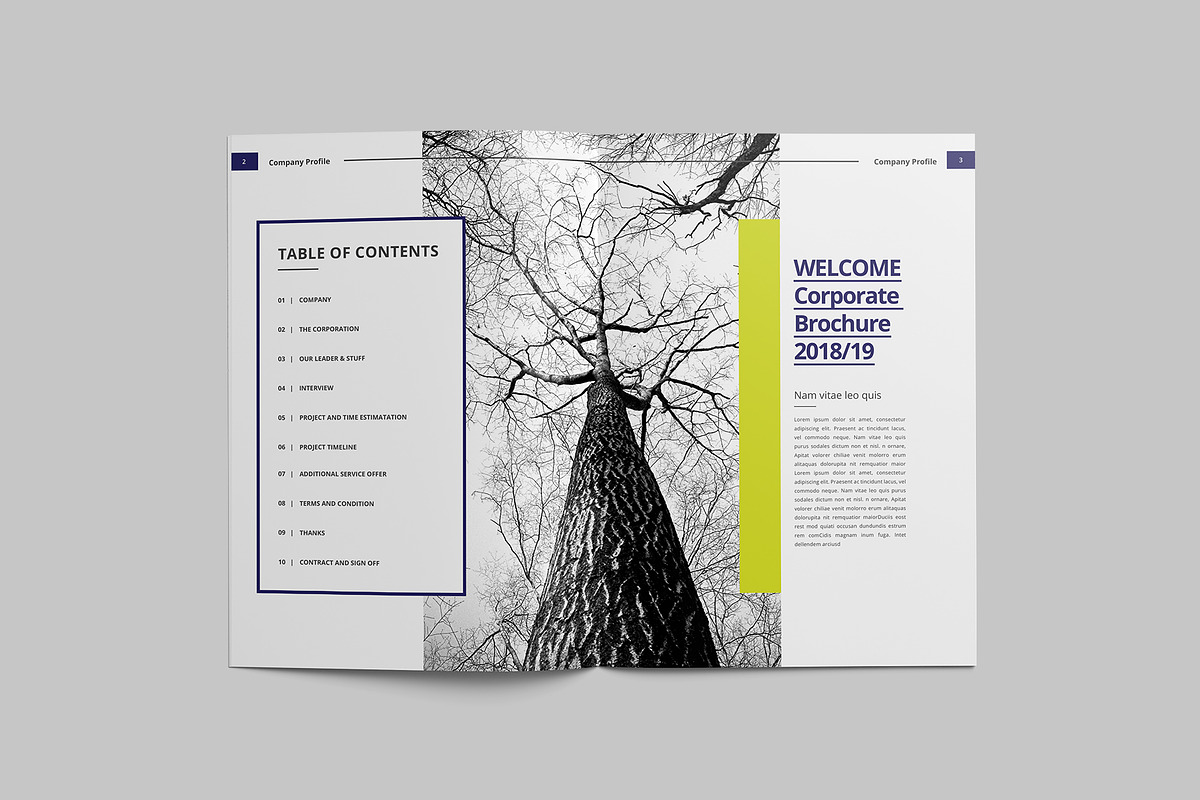 Proposal Business Brochure, a Brochure Template by Tanber Hossen (Photo 4 of 14)