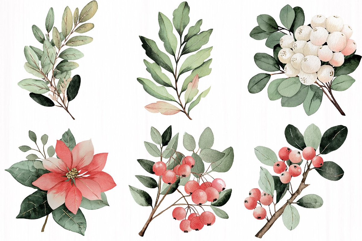 Poinsettia Festive Watercolor Floral, an Illustration by DreamCafeArt (Photo 4 of 7)