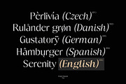 Fregio - Serif Family (10 Fonts), a Serif Font by Dora Typefoundry (Thumbnail 9 of 16)