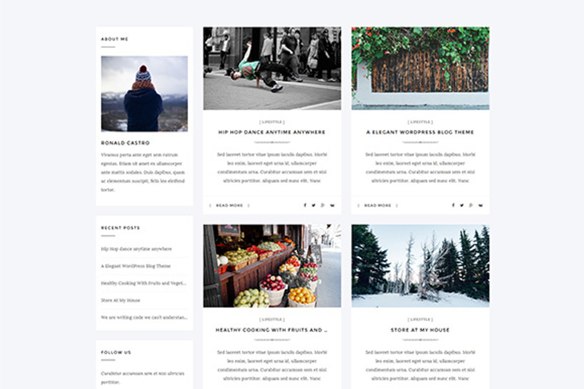 Aresivel -WordPress Blog Theme, a WordPress Template by myshopkit (Photo 9 of 14)