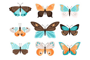 Colorful Butterflies With Blue Orange Wings