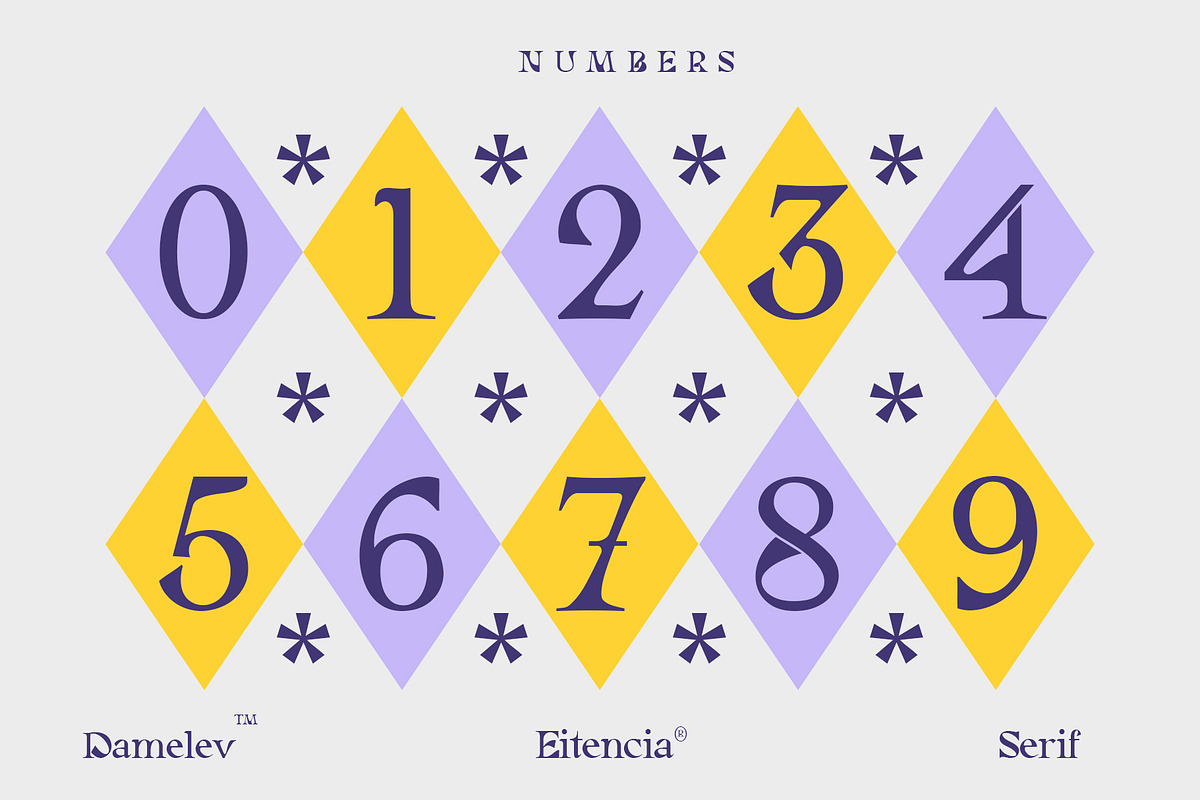 Eitencia, a Serif Font by Damelev (Photo 5 of 12)