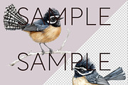 New Zealand Native Bird Clipart, an Animal Illustration by Pawcasso's Portraits (Thumbnail 8 of 9)