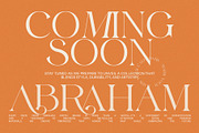Leina Savira Stylish Serif Font, a Serif Font by Perfectype (Thumbnail 5 of 8)