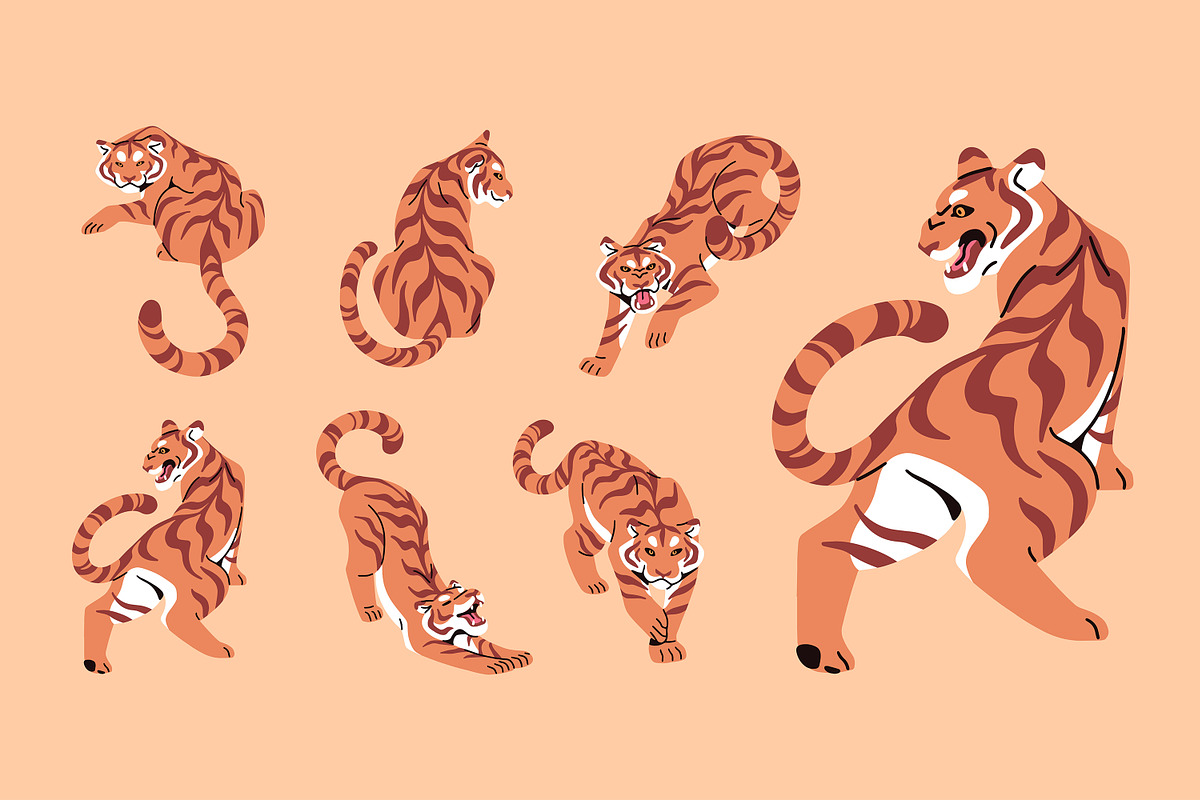 Tigers set + seamless pattern, an Animal Illustration by PaperTrident (Photo 1 of 5)