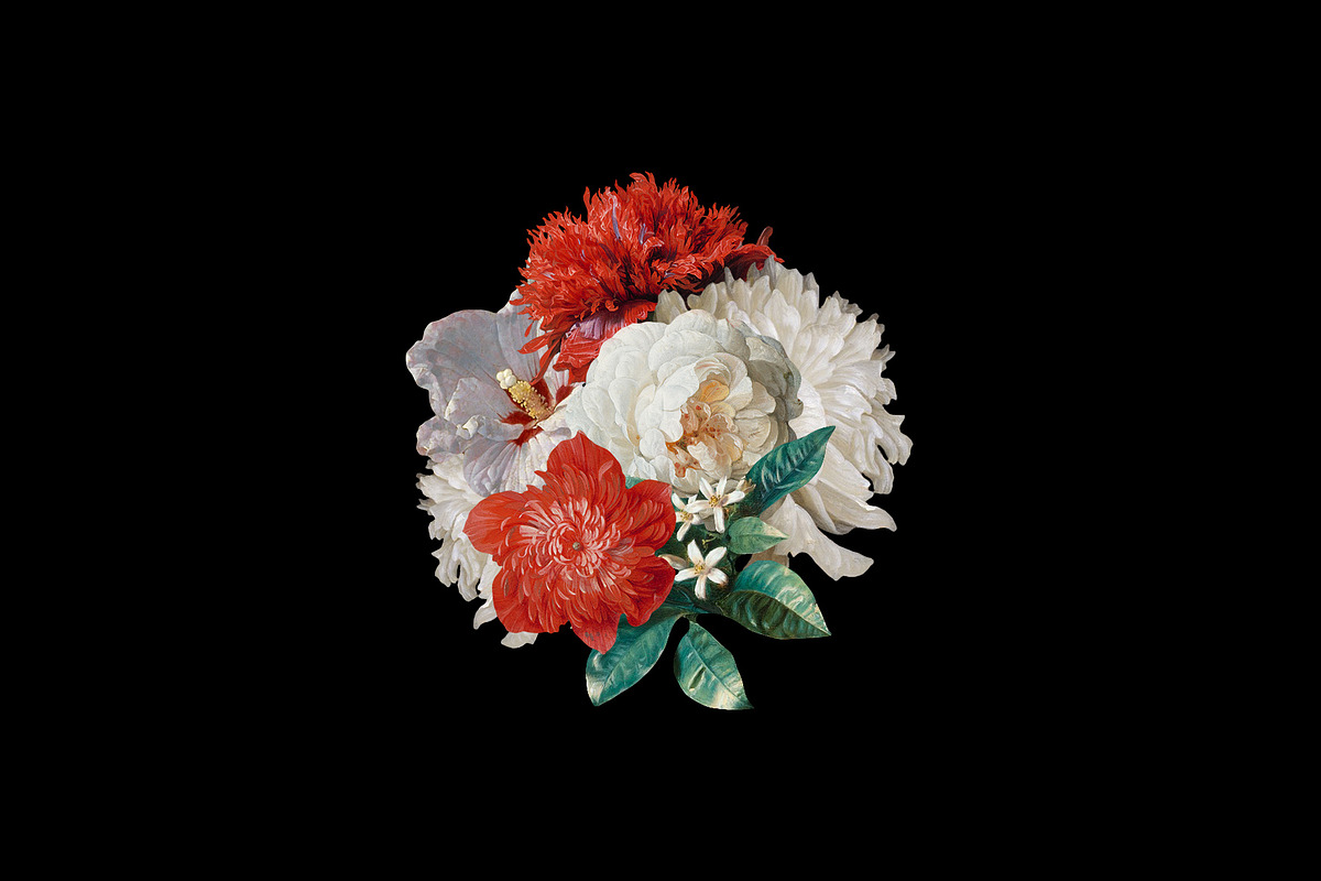 Kurohana Painted Florals Collection, an Illustration by Studio Yorktown (Photo 10 of 13)
