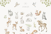 Woodland Animals Watercolor Forest, an Animal Illustration by Kreker Kate (Thumbnail 10 of 12)