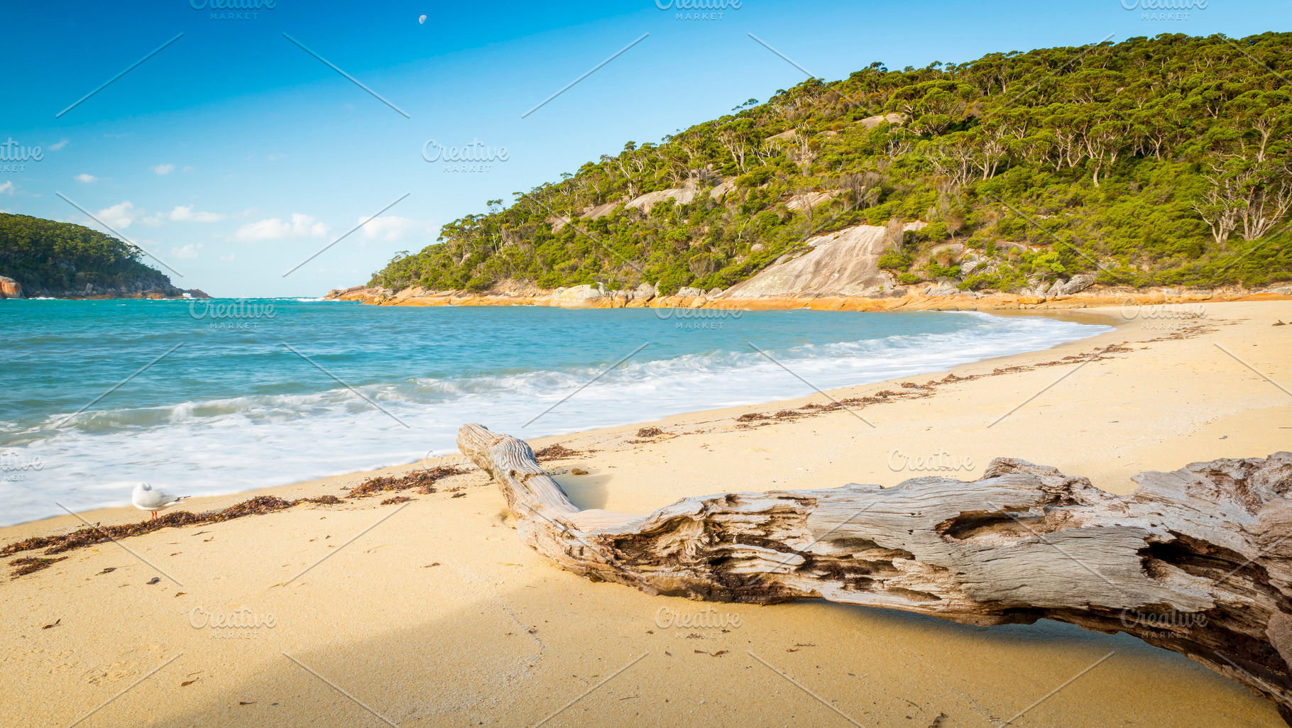 Refuge Cove At Sunset, a Nature Photo by THP Creative