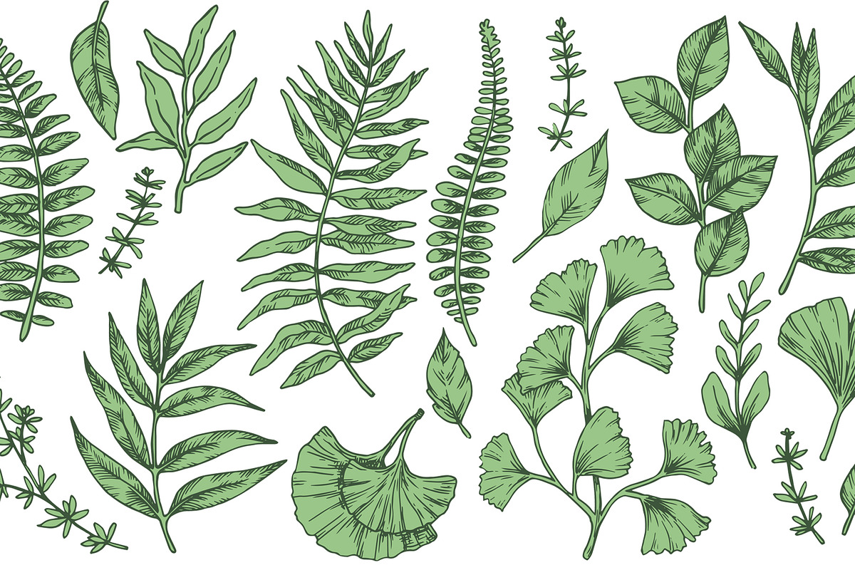 Tropical leaves.  Sketch style, a Seasonal Illustration by made by Tanya (Photo 2 of 4)