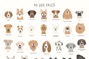 DOG Breeds Collection