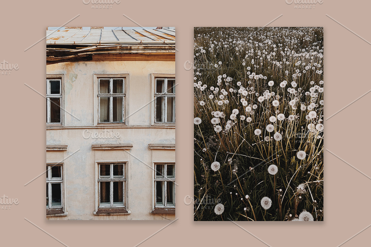 Lifestyle Bundles Collection 5, a Beauty & Fashion Photo by Floral Deco (Photo 37 of 65)
