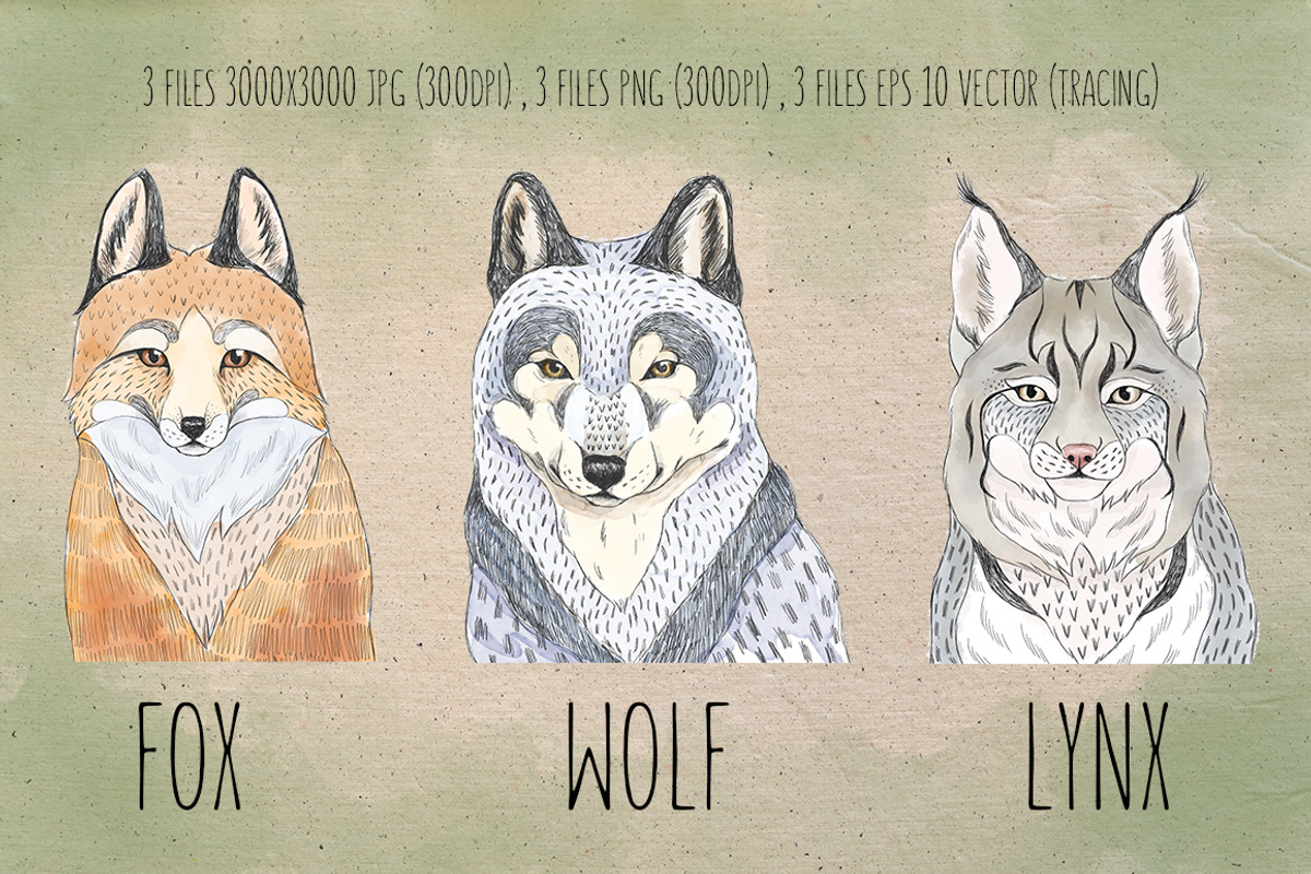 Set of 3 forest animals, an Illustration by Maria Sem (Photo 2 of 3)