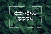 Sparrow - modern sans serif, a Sans Serif Font by Sk designs (Thumbnail 2 of 9)