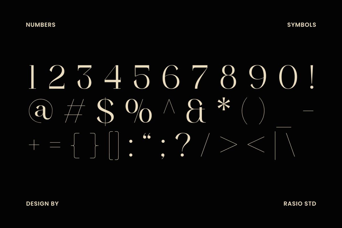Ondine Modern Luxury Serif Font, a Serif Font by Rasio Studio (Photo 3 of 9)