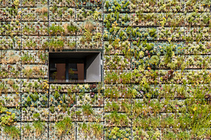 Building wall overgrown with plants, an Architecture Photo by BOOCYS