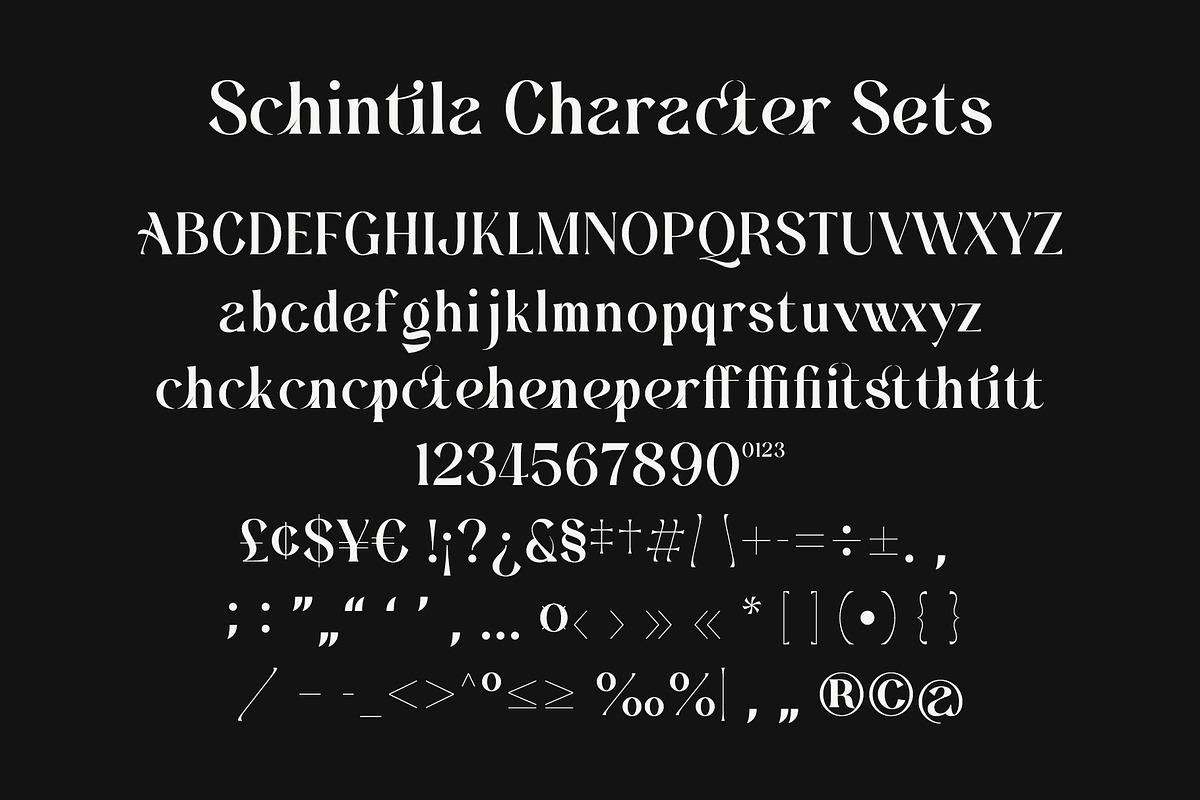 Schintila - Ligature Serif, a Serif Font by Almeera Std (Photo 6 of 8)