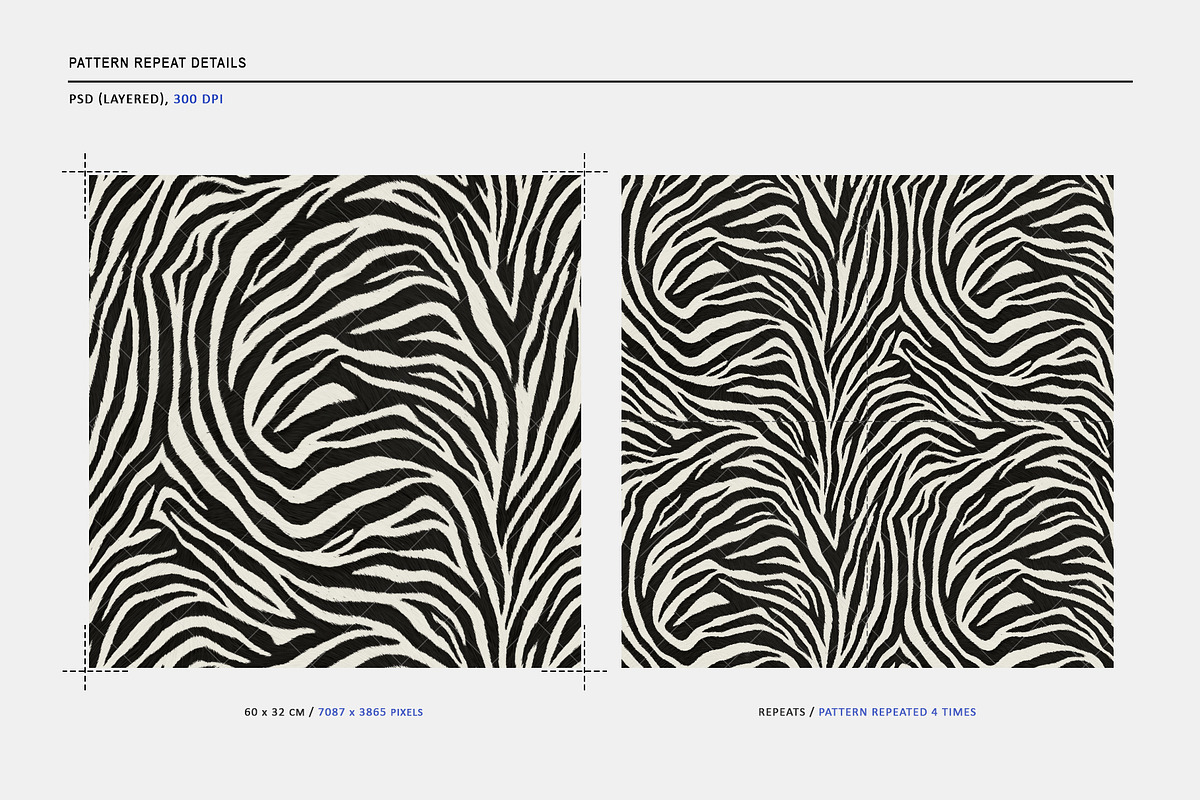 Seamless Zebra Stripe Pattern, a Pattern Graphic by Talip Memis (Photo 2 of 11)