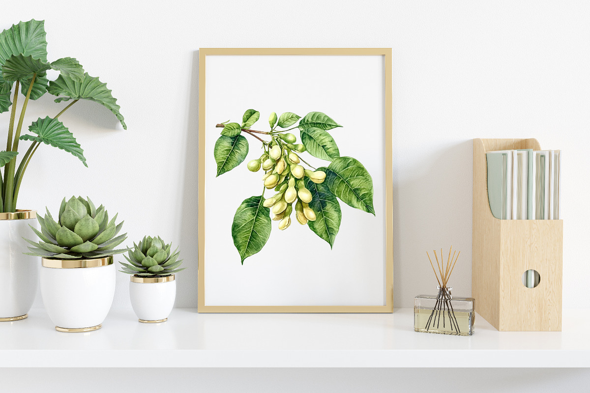 Watercolor Soybean Clipart Bundle, an Illustration by Canvas Craft (Photo 7 of 8)
