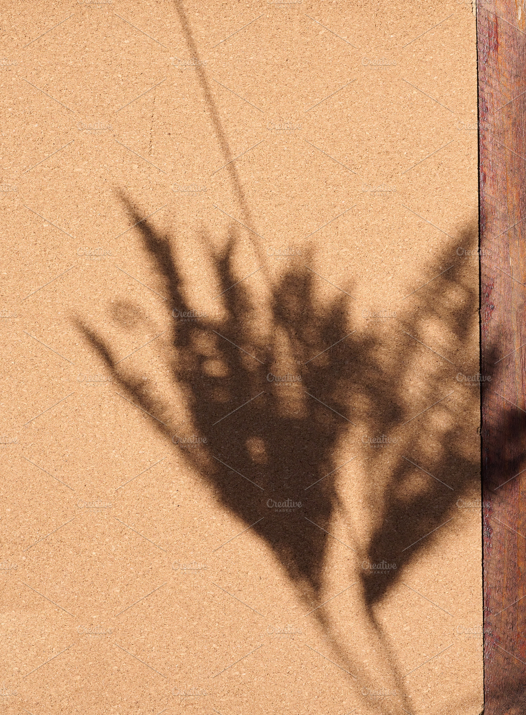 Sharp shadow from vegetation falls on a textured cork surface ne, an Abstract Photo by ndanko