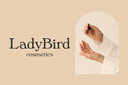 Phaedra // A Retro Serif Typeface, a Serif Font by Megs Lang (Thumbnail 15 of 17)