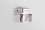 A5 Bifold Brochure Mockup Bundles, a Books & Magazine Mockup by Ambo Ampeng (Thumbnail 17 of 26)