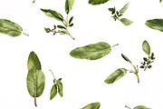 Set of 15 Seamless Vegetable Pattern, a Decorative Illustration by Miss Patterns (Thumbnail 14 of 16)