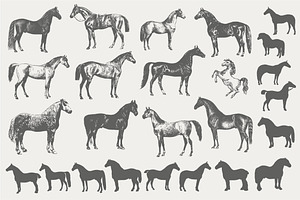 Vintage Horse Illustrations