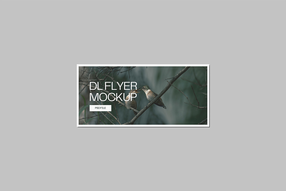Landscape DL Flyer Mockup, a Print Template by Graphiculon (Photo 4 of 13)