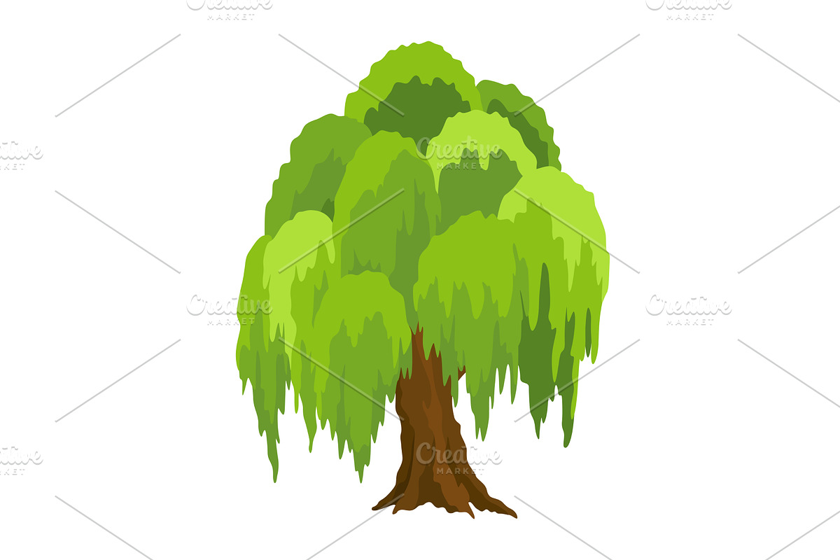 Kind of tree icon, willow, an Object Illustration by Things for designers