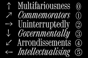 FTC Foldyne, a Serif Font by Fridaytype (Thumbnail 8 of 12)