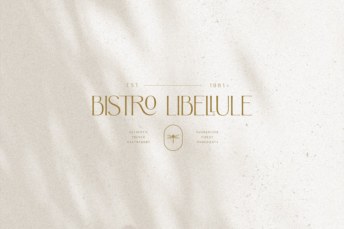 HV Argentine Font Free Downloadv - UIFreebies