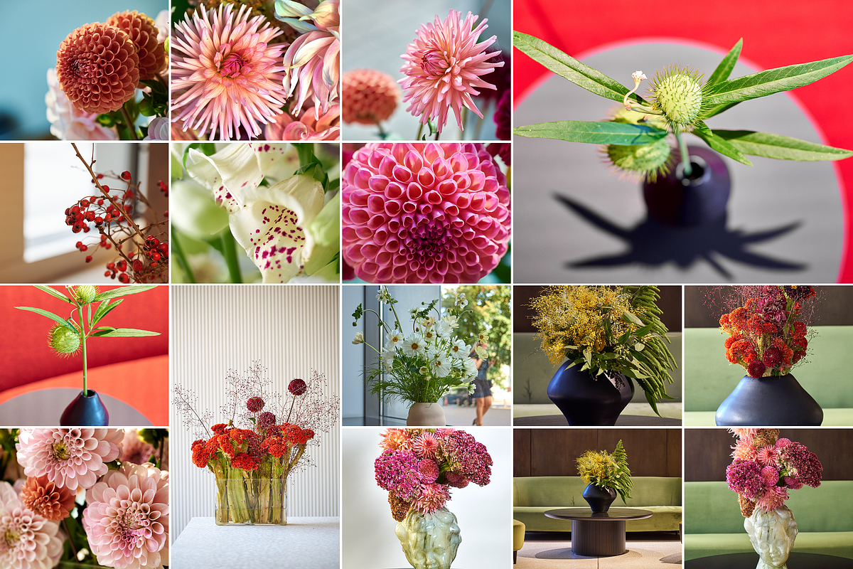 350 Photo Flower Arrangements, a Nature Photo by PopotLane (Photo 8 of 8)