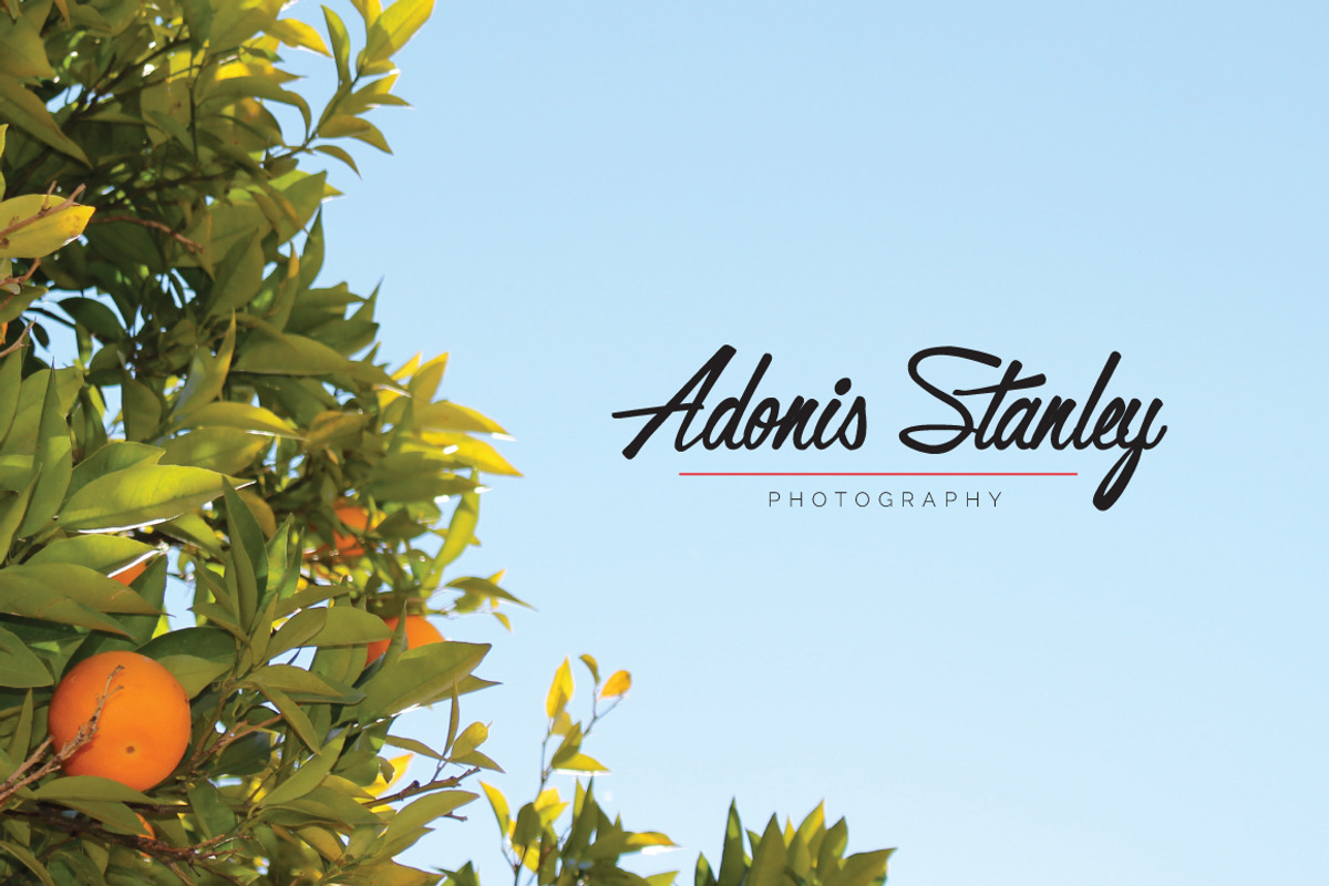 520 Premade Logo Bundle + Bonus, a Branding & Logo Template by XpertgraphicD (Photo 14 of 76)