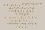 Helyna Elegant Script Font, a Script Font by RantautypeStudio (Thumbnail 14 of 19)