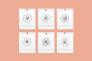 Floral Sketchbook Vectors