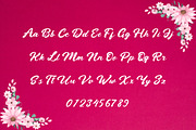 Saphiet - Casual Script Font, a Script Font by Dhabee (Thumbnail 5 of 17)