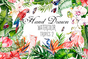 Hand Drawn watercolor TROPICS 2, an Object Graphic by Knopazyzy (Thumbnail 1 of 4)