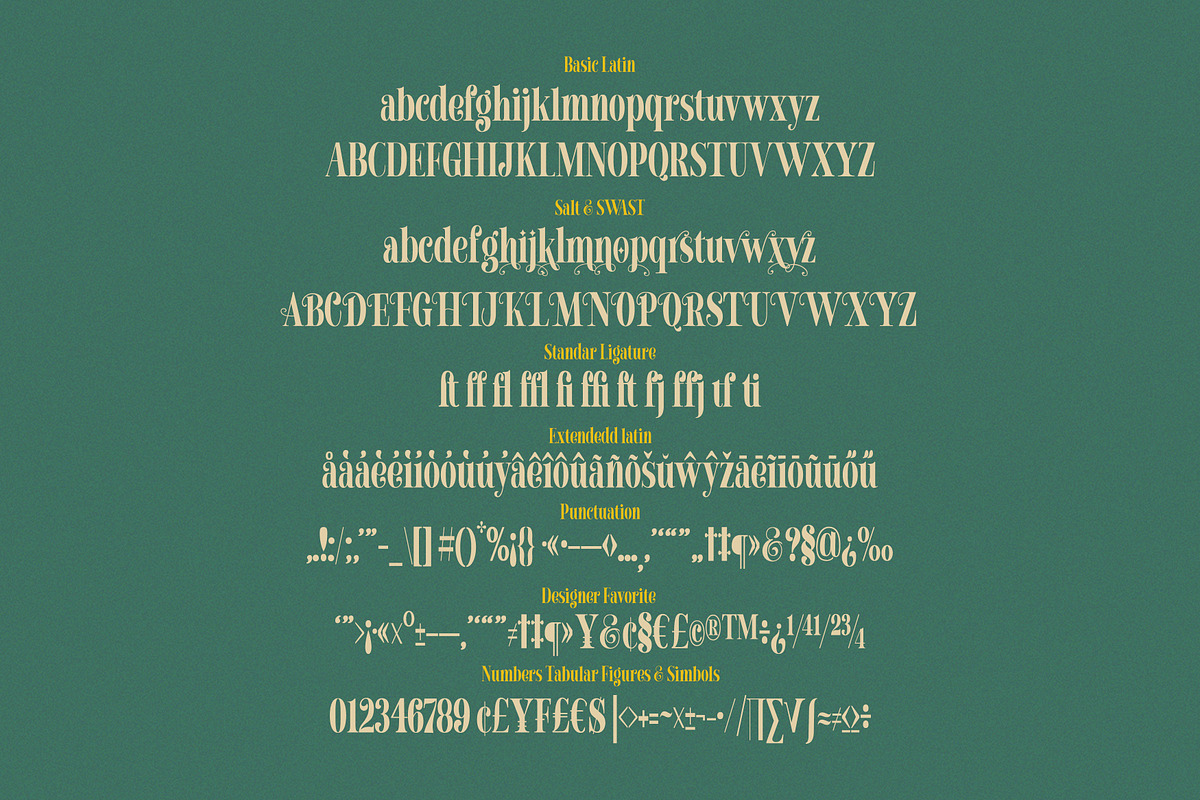 Chicago Darling Serif, a Serif Font by Gatype (Photo 10 of 10)