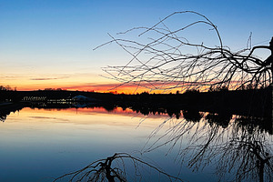 Serene sunset over calm lake with silhouetted leafless trees, a Photo by AS photostudio