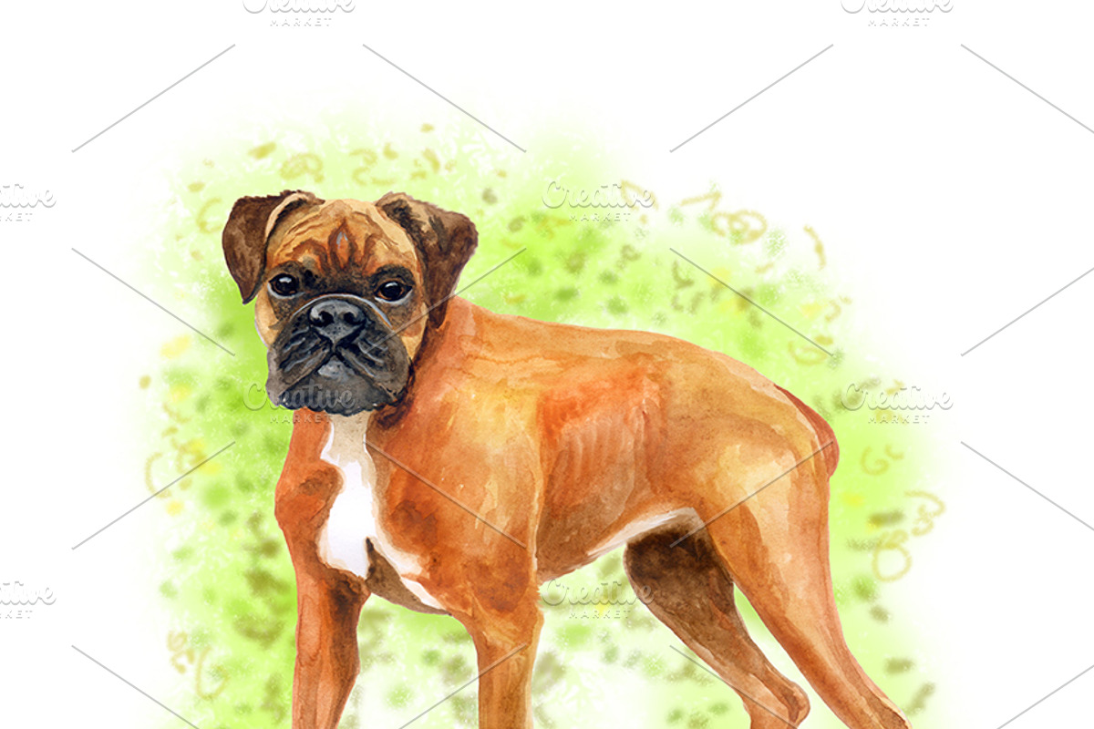 Watercolor Dogs - Collection 2 of 12, an Animal Illustration by Dneprstock (Photo 4 of 4)