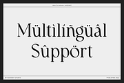 Walknoice - Modern Stylish, a Serif Font by RockboyStd (Thumbnail 8 of 12)