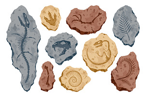 Archeology fossil stones with, an Animal Illustration by Things for designers