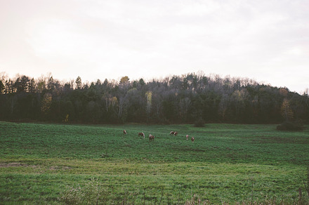 Rural Vermont